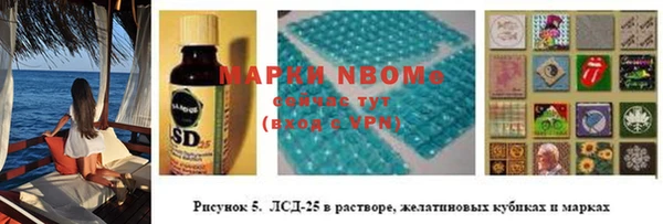 стаф Аркадак