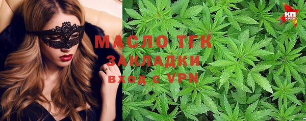 стаф Аркадак