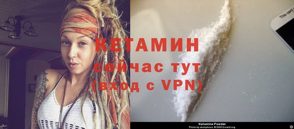 стаф Аркадак