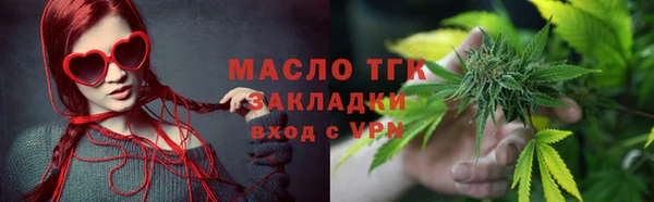 стаф Аркадак