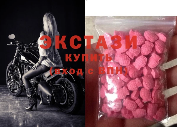 стаф Аркадак