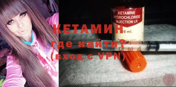 стаф Аркадак