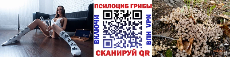 Галлюциногенные грибы Magic Shrooms  сколько стоит  Сим 
